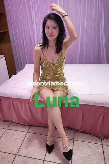 22.anni | Donna Cerca Uomo | MilanolBresso NEW, escort Milano